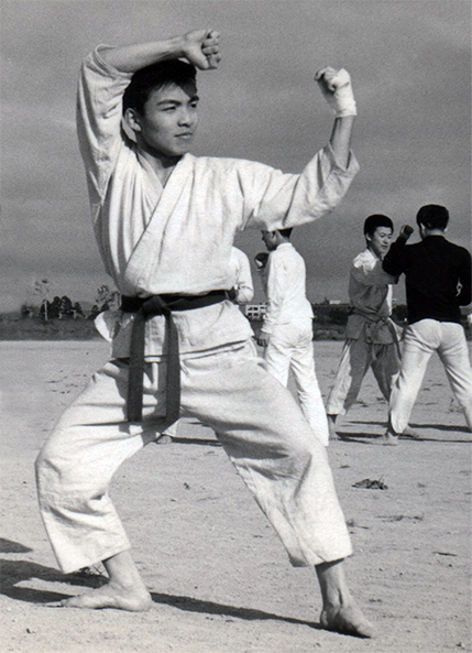 karatedo_aa